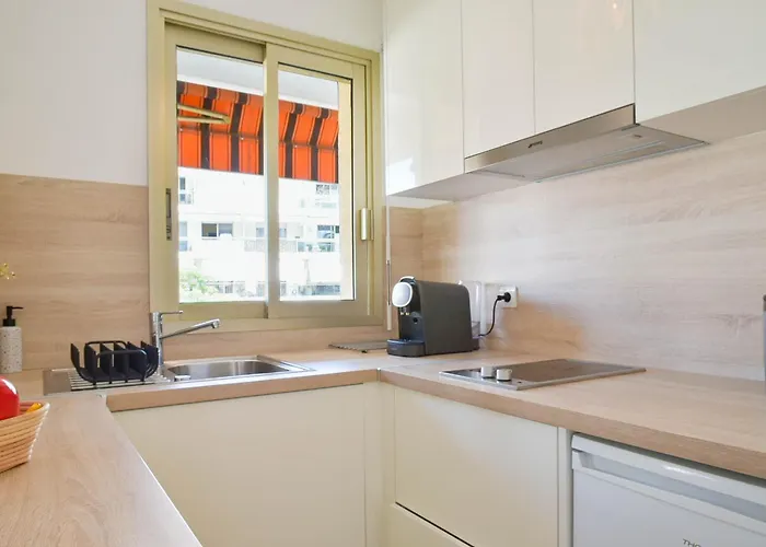 Palm With Terrace 150m From Beaches * Cannes